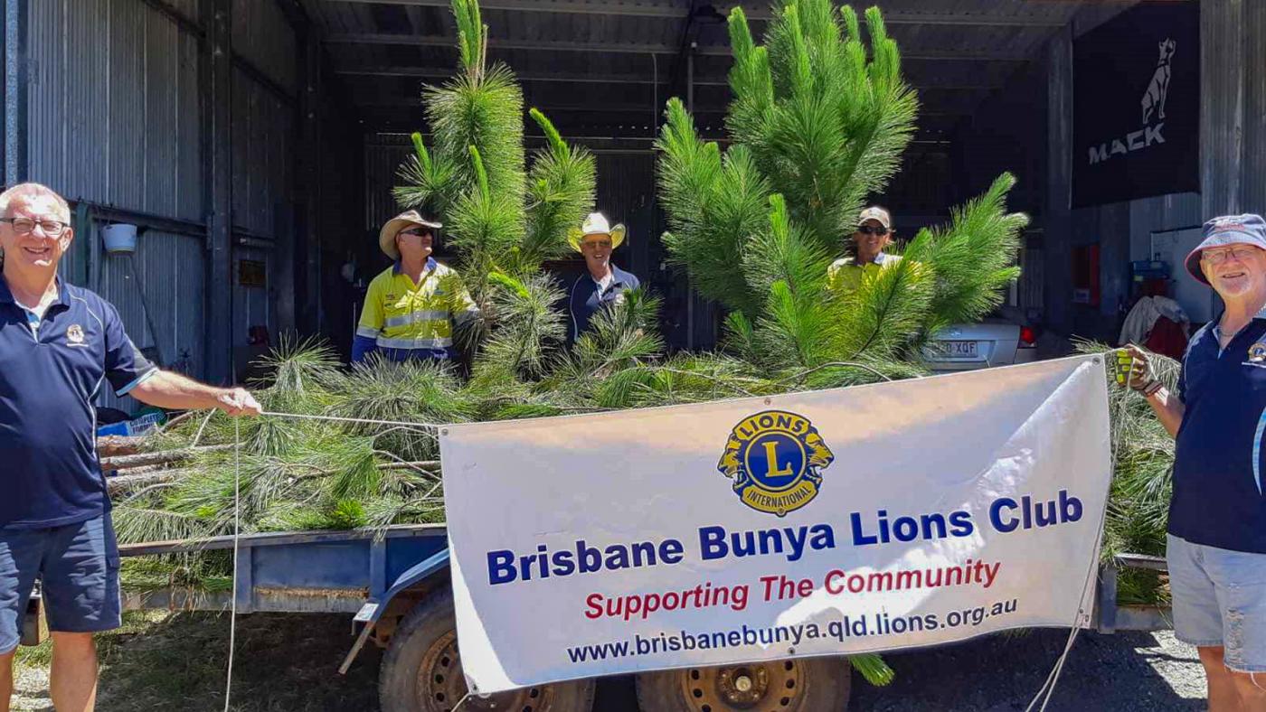 Christmas tree donation helps Lions raise vital funds Seqwater